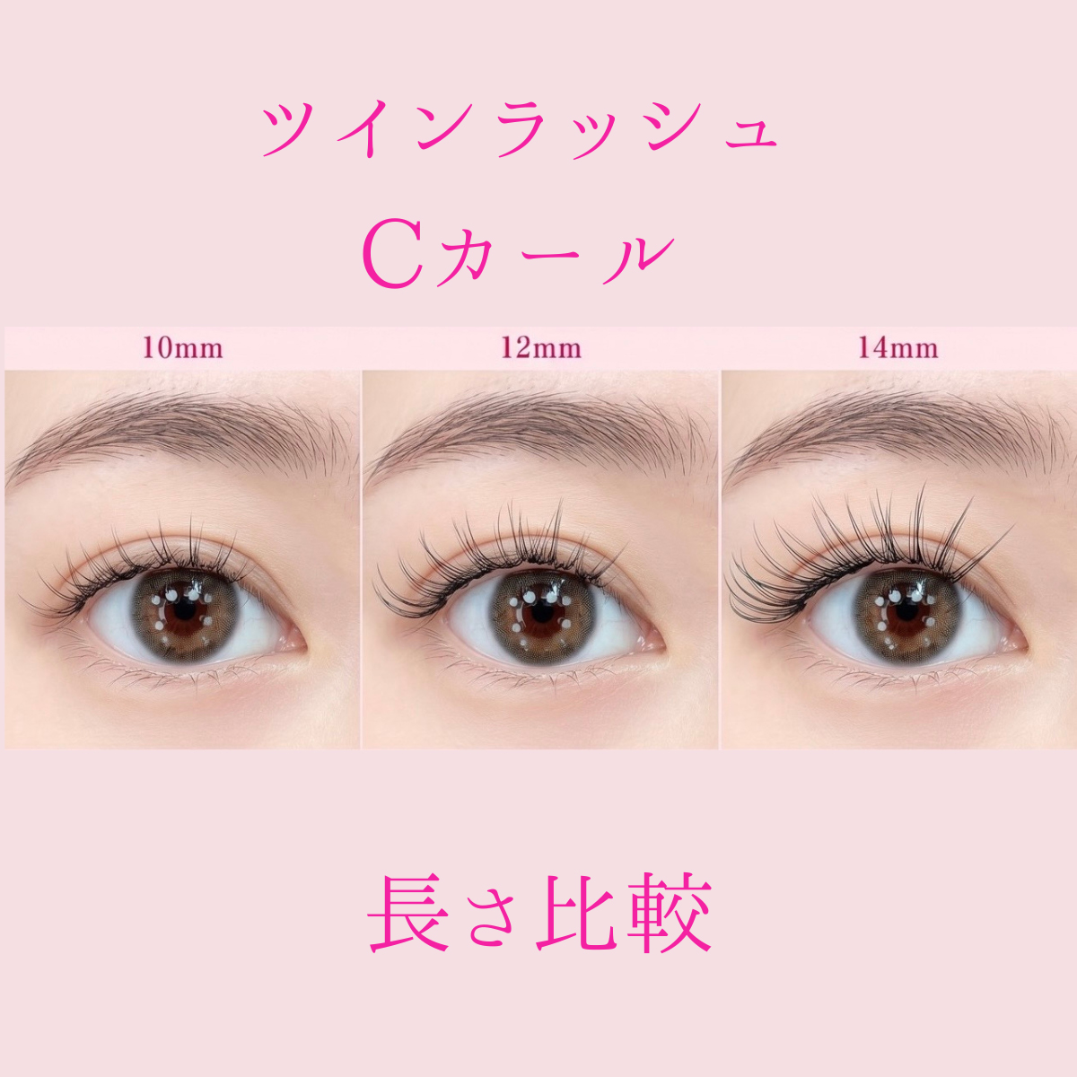 説明
