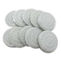 【Selfray】使い捨てグループレート(10枚入り)