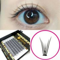 【Selfray】ツインラッシュ Dカール 太さ0.07mm