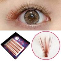 【商品入れ替えのため割引】【Selfray】マロンブラウン Cカール 太さ0.07mm 20本束　カラー