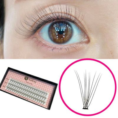 【Selfray】クラシックラッシュ大容量 Cカール 太さ0.07mm 10本束