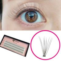 【Selfray】クラシックラッシュ大容量 Dカール 太さ0.07mm 10本束