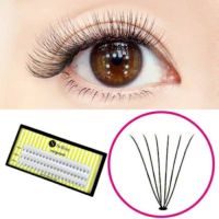 【在庫無くなり次第終了50%OFF!!】【Selfray】ナチュラッシュ Cカール 太さ0.07mm