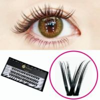 【Selfray】Vラッシュ Cカール 太さ0.10mm